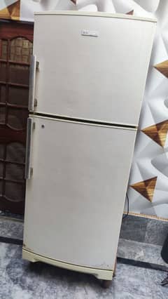 Electrolux Refrigerator Fridge 18 Cubic condition 10/10