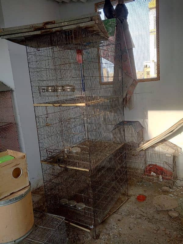 cages available for sale 1