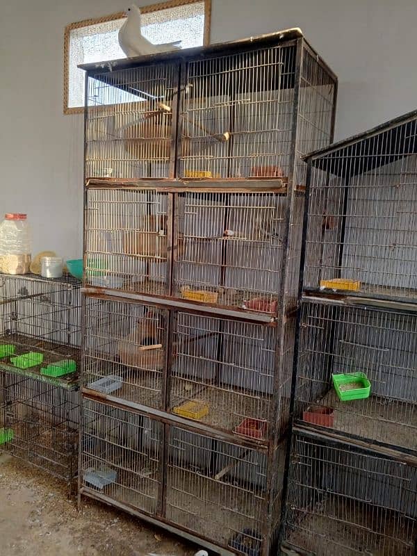 cages available for sale 4