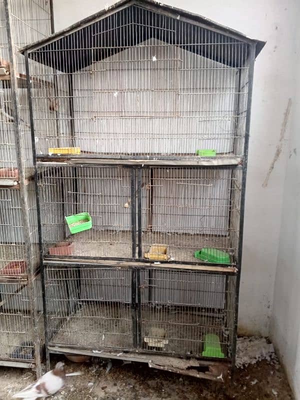 cages available for sale 5