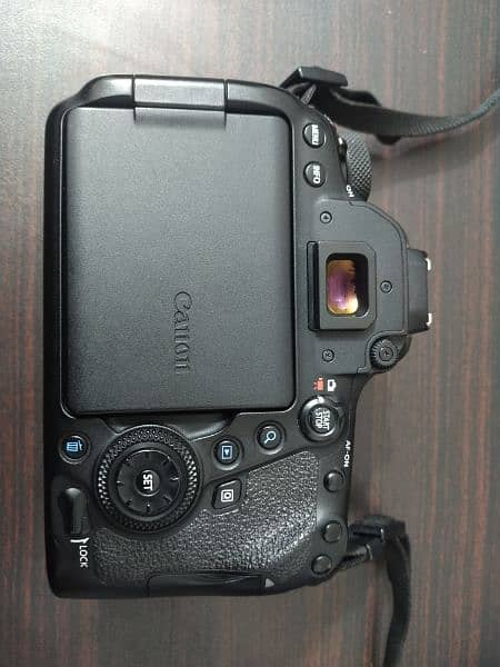 canon eos 6d mark ii with Tamron 28 75 lens 2