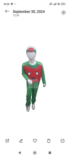 Tomato costume imported