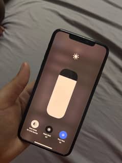 Iphone 11 pro max Pta approved