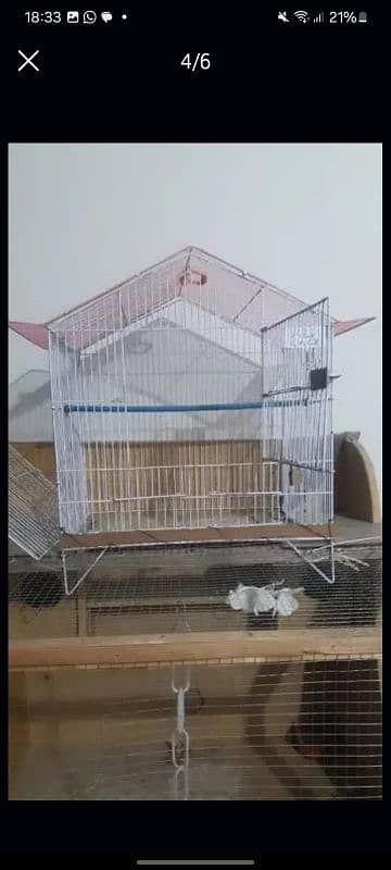 Moveable cage for birds & hens 4