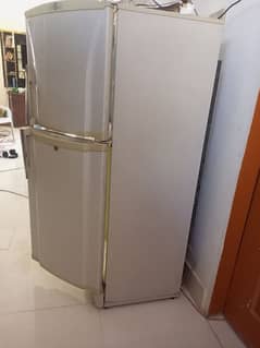 PEL  Refrigerator