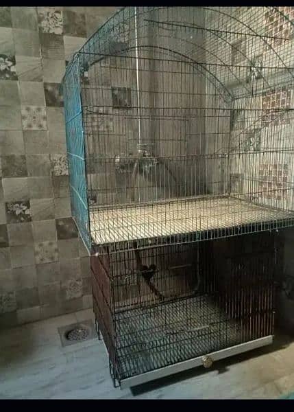 cages  (urgent sell). 2