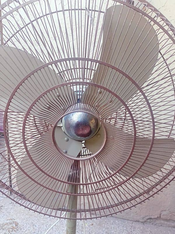 Royal pedestal fan for sale 1