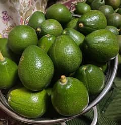 Homegrown Avocados