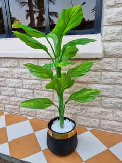 Planters with Fiber Pot