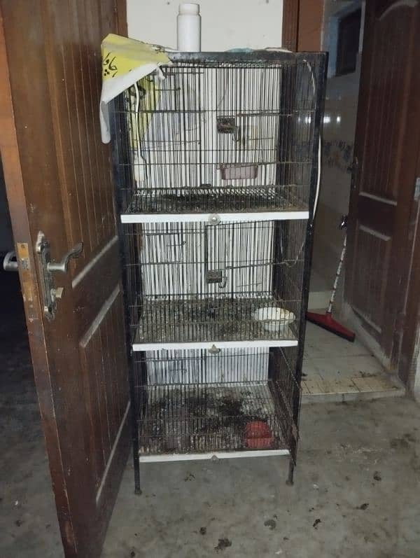 hens cage 1