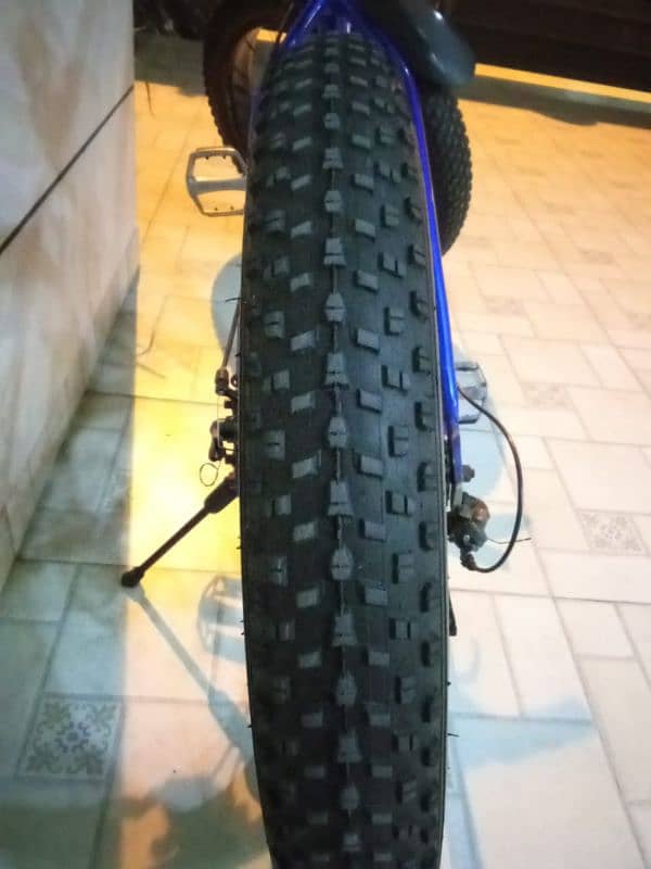 "PLUS" FAT BIKE۔ 3