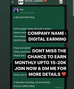 online job  earning  15000 to 25000