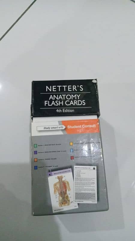 Netter's Anatomy Flash Cards 3