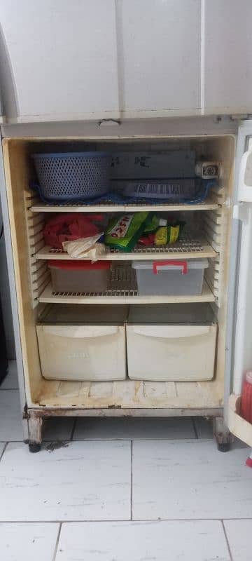 Pel full size Fridge 2