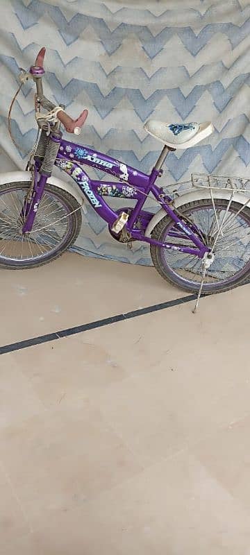 Frozen bicycle for girls 1