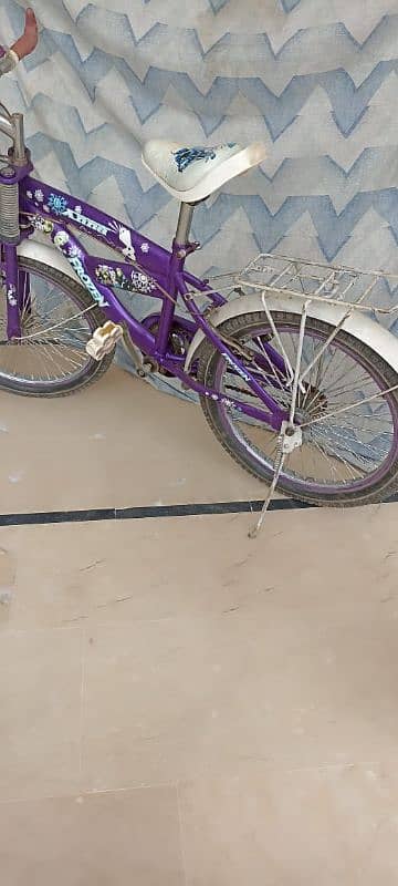 Frozen bicycle for girls 3