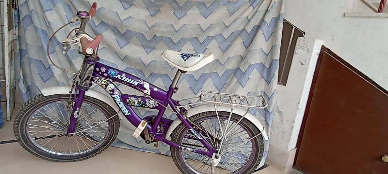 Frozen bicycle for girls 4