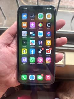 iphone 13 pro max offical pta appoved