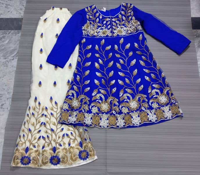 blue and white embroidery suit 2