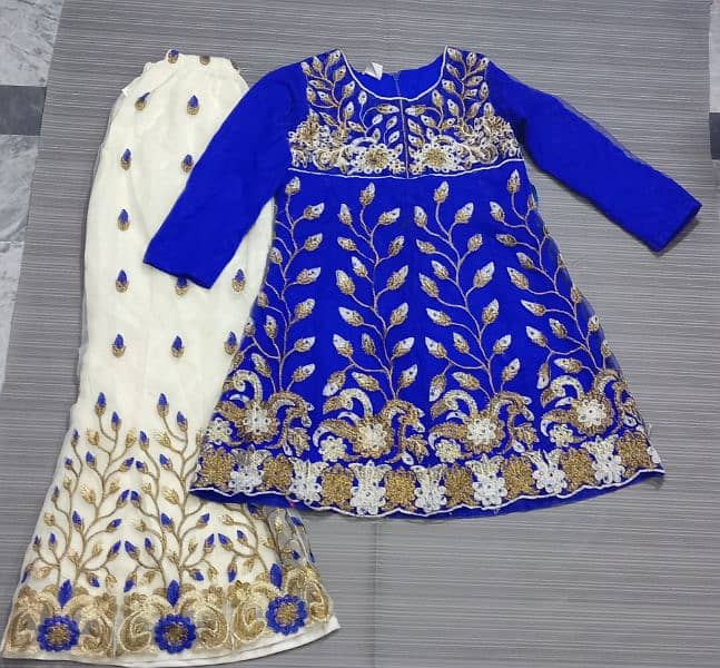 blue and white embroidery suit 3