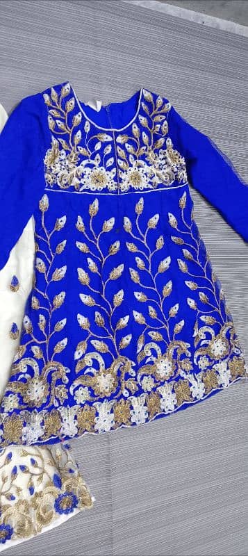 blue and white embroidery suit 4