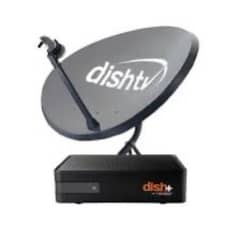 dish