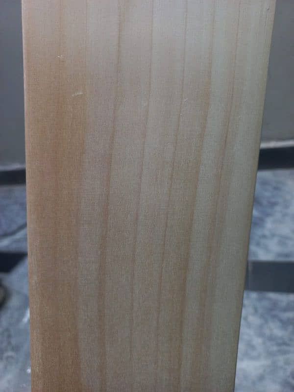 original English willow bat life time warranty of English willow 5