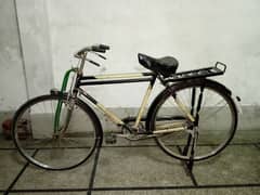 Brand New Bicycle Full Size. 0