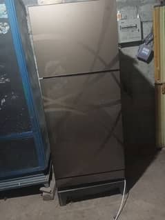 pel refrigerator full glass door