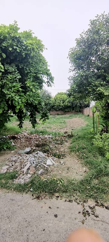 Facing Mosque 1 Kanal Plot For Sale 3