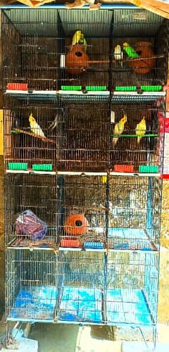 parrot cage