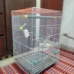 Parrot Cage