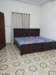 Furnished Appartment for Rent