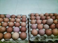 golden misri DESI EGGS 0