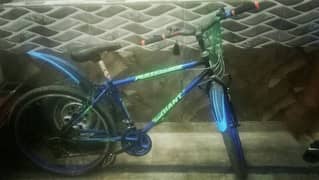 beutifull cycle