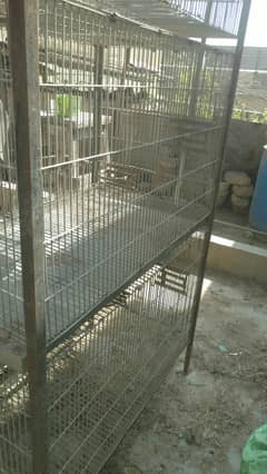 Pahari , big parrots trolly cage