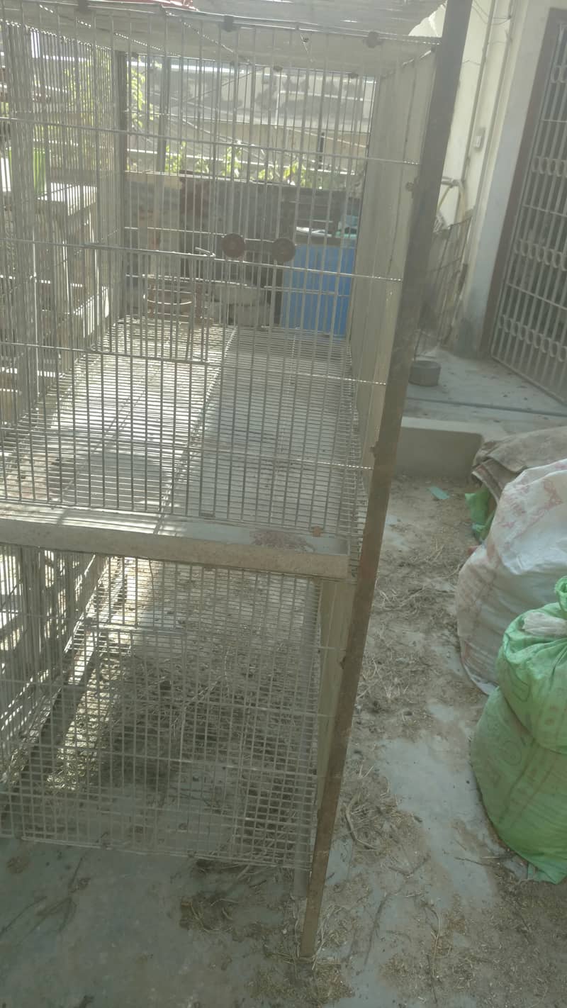 Pahari , big parrots trolly cage 1