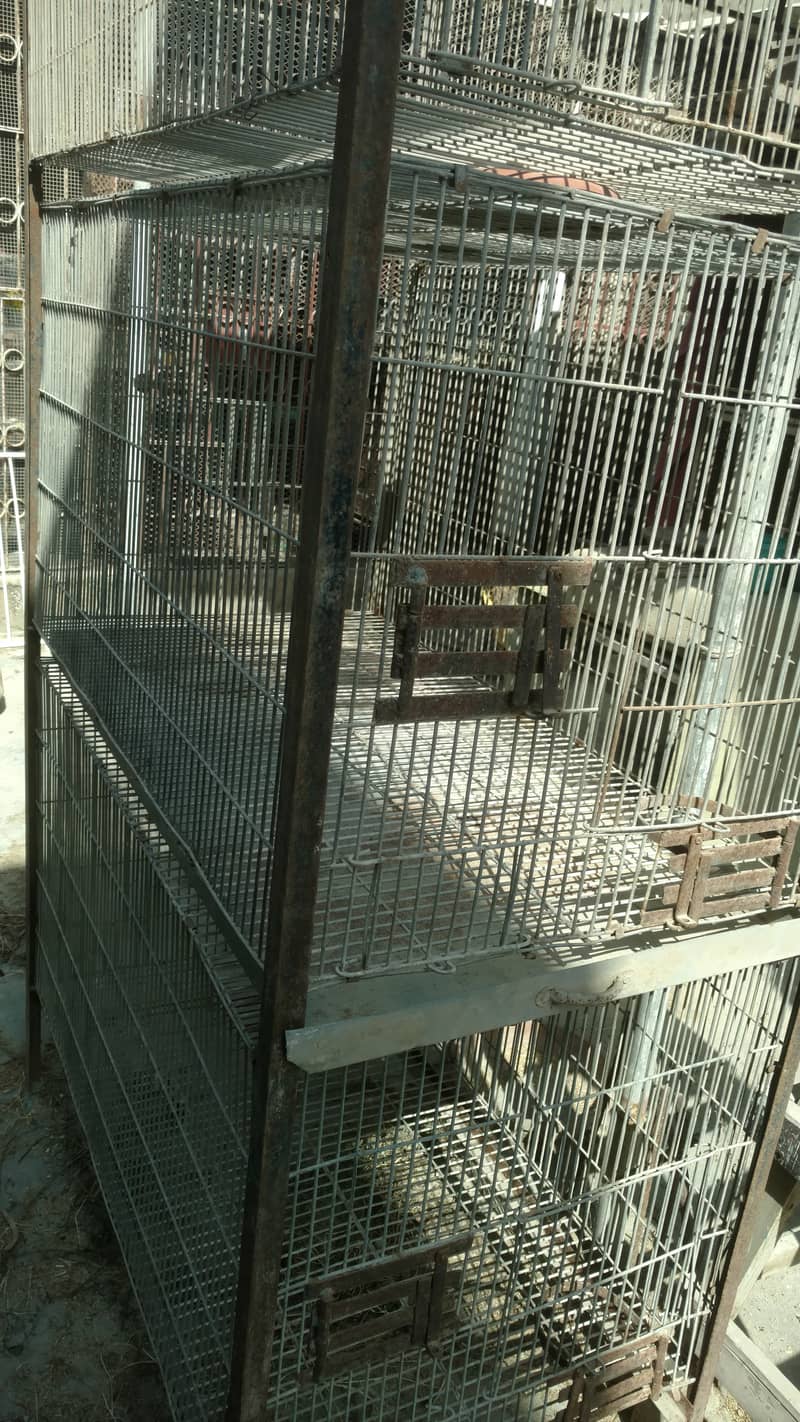 Pahari , big parrots trolly cage 2