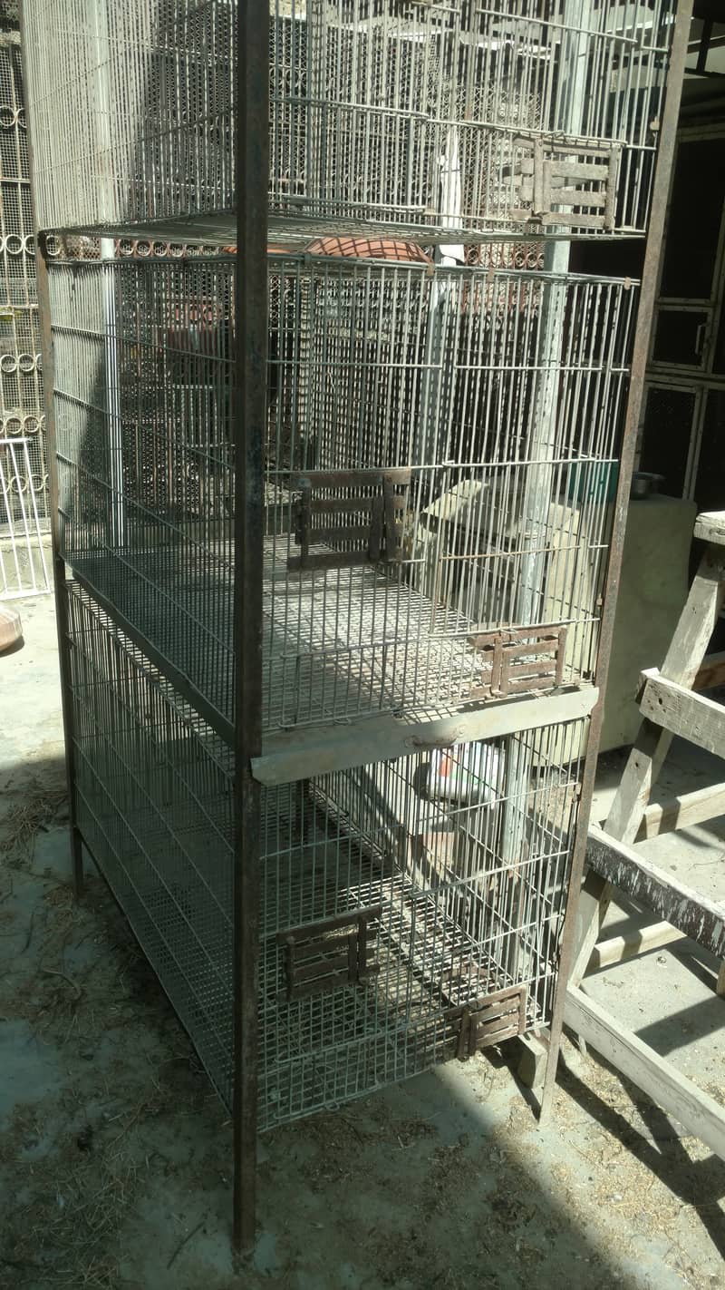 Pahari , big parrots trolly cage 3