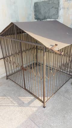 Dog Cage