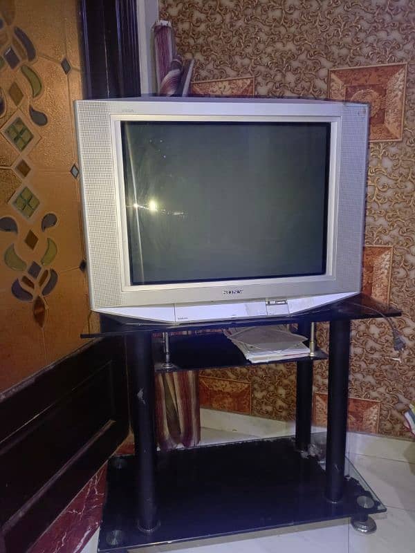 tv with trawly 2