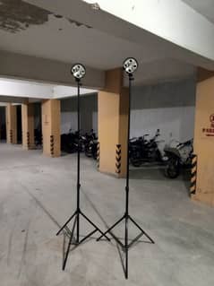 Professional Continue softbox lights with 2 full large size stands