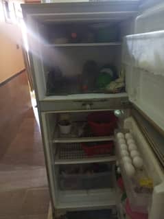 12 cubic Pel refrigerator in chill condition 0