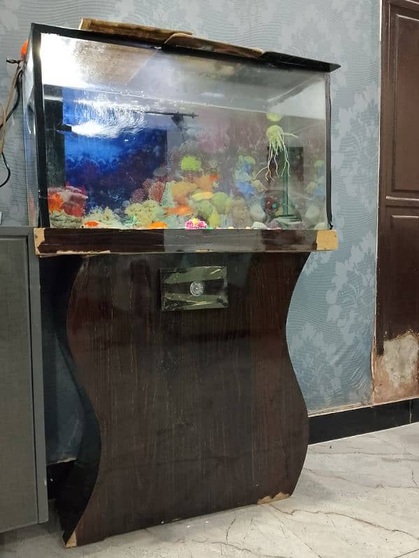 Fish & Fish aquarium urgent For Sale 2