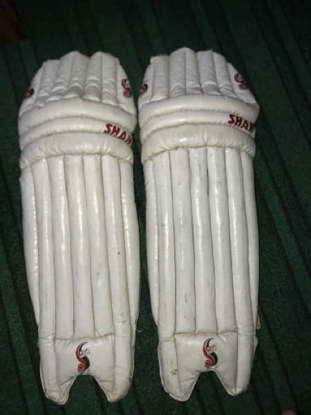 Cricket bag + pads + 1 thigh + gloves + 2 synthetic ball 1