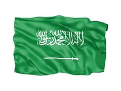 Company Visa For Saudi Arabia For Sale