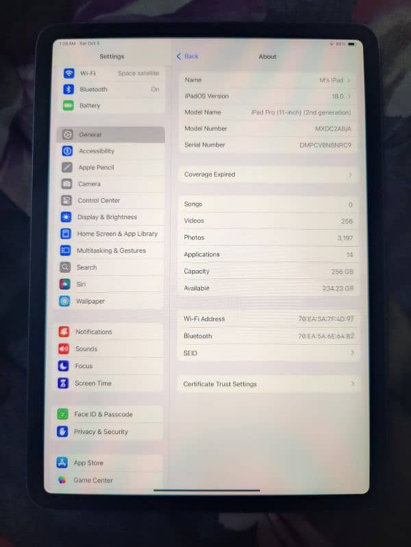 iPad Pro (11 inch) (2nd generation) 256GB runs pubg on 120 FPS 9