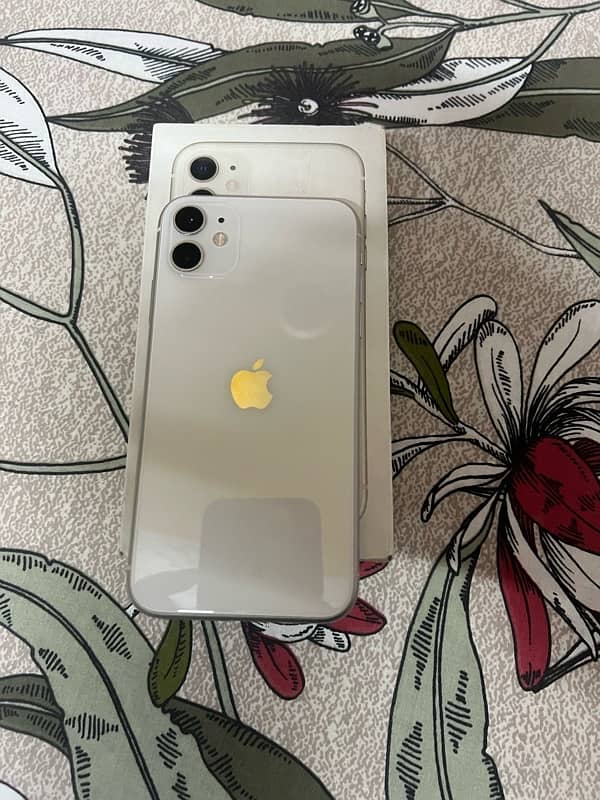 Iphone 11 FU PTA Approved 128 GB 1