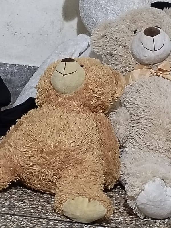 teddy bear bhalu 1