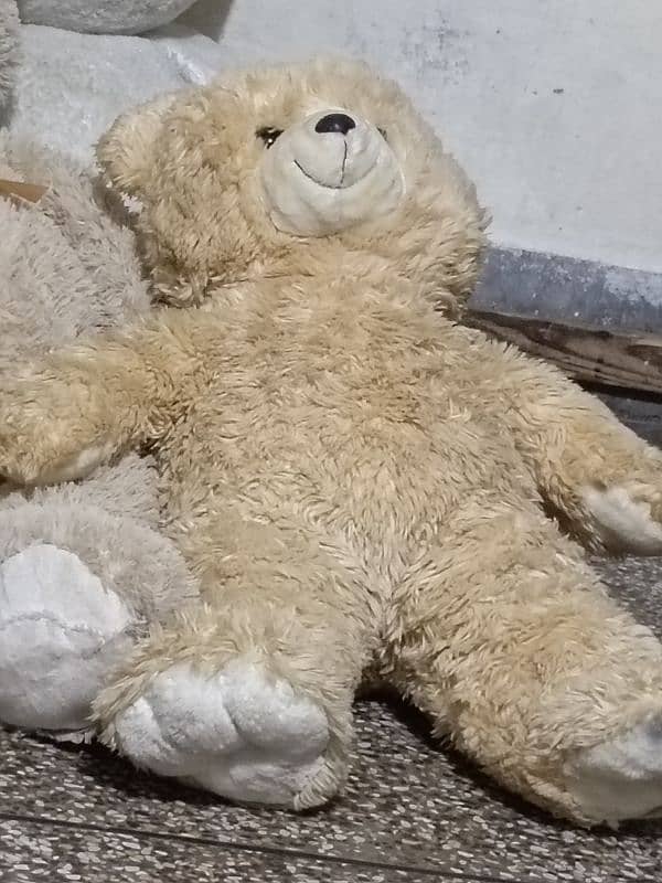 teddy bear bhalu 2